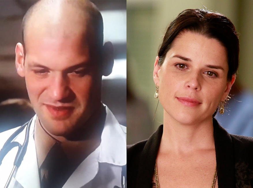 ER, Greys Anatomy, Guest Stars, Corey Stoll, Neve Campbell